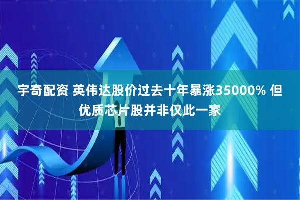 宇奇配资 英伟达股价过去十年暴涨35000% 但优质芯片股并非仅此一家