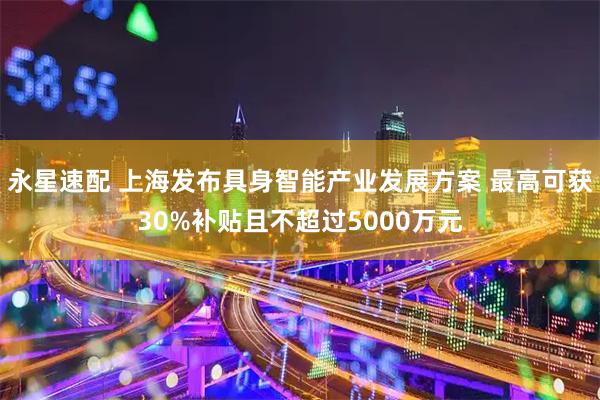 永星速配 上海发布具身智能产业发展方案 最高可获30%补贴且不超过5000万元